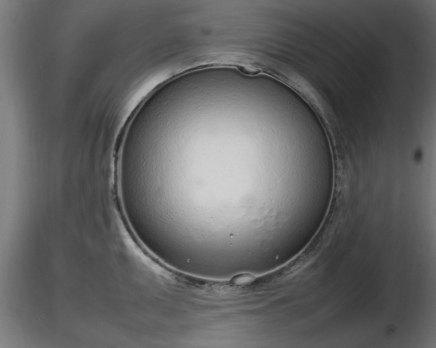 X0000116881095200912291237