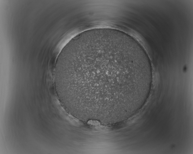 X0000116881097200912291237