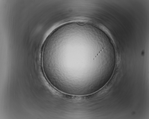 X0000116881099200912291237