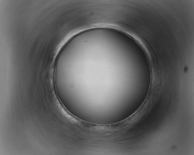 X0000116881102200912291237