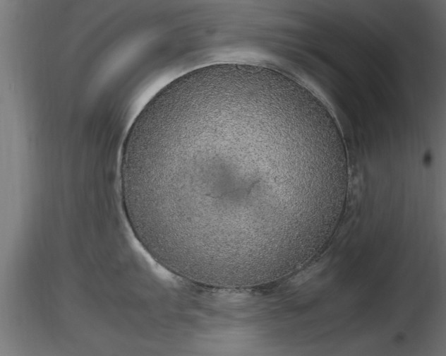 X0000116881103200912291237