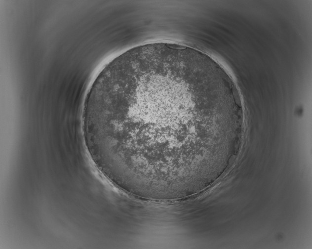 X0000116881104200912291237
