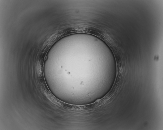 X0000116881106200912291236