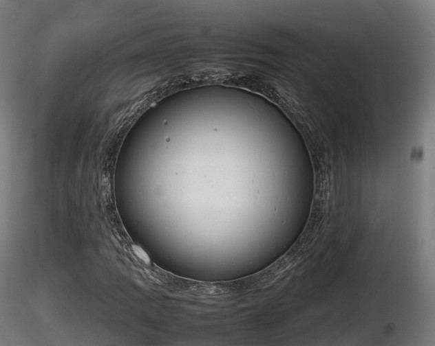 X0000116881109200912291236