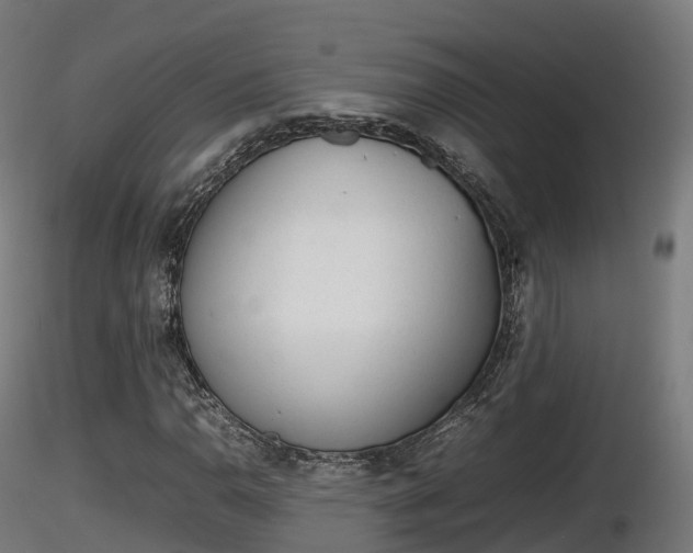X0000116881110200912291236
