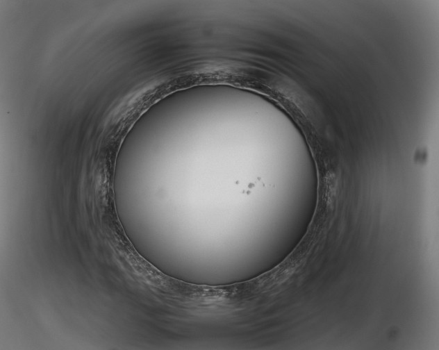 X0000116881111200912291236