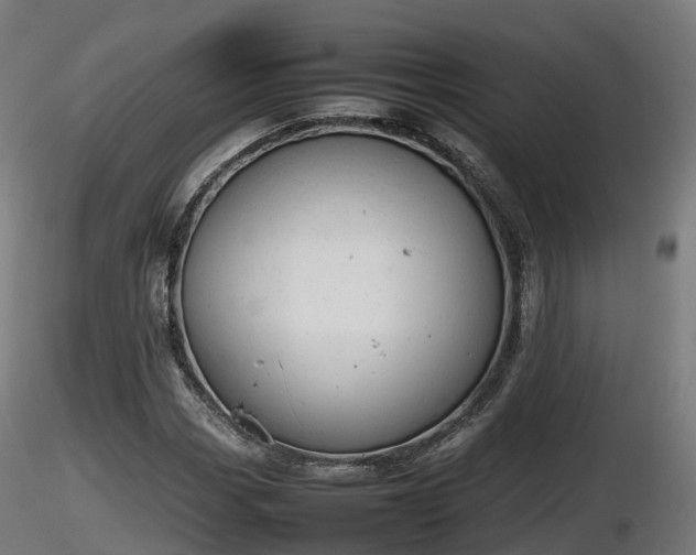X0000116881113200912291236