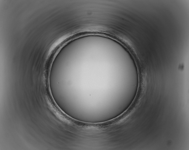 X0000116881114200912291236