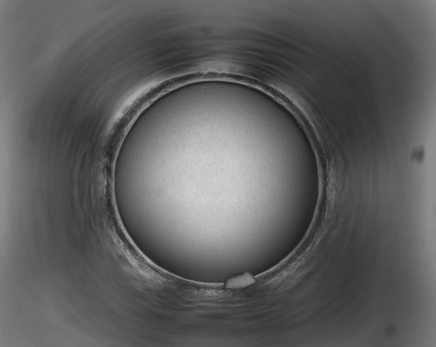 X0000116881115200912291236