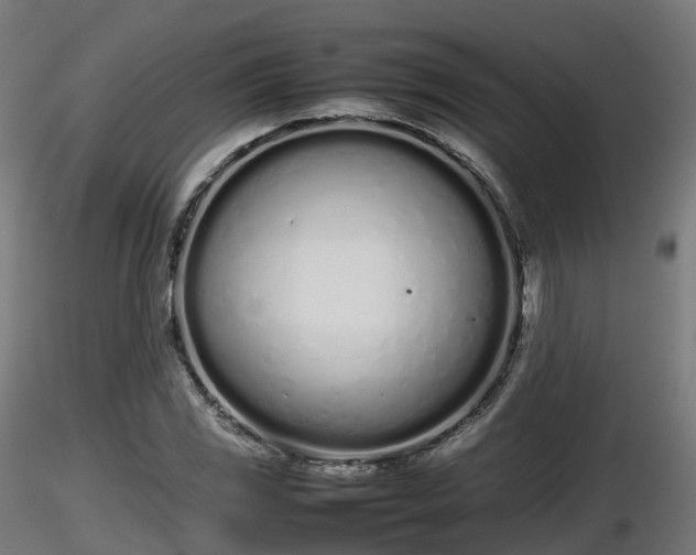 X0000116881117200912291236
