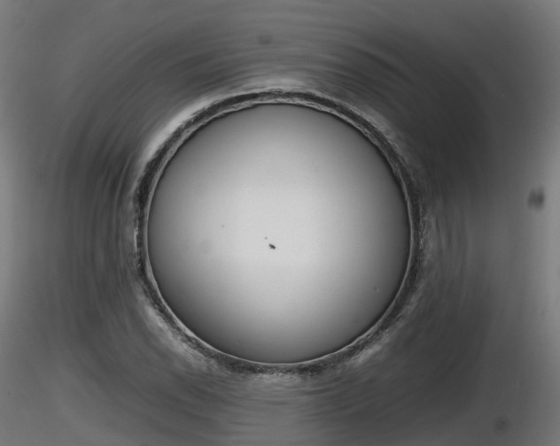 X0000116881118200912291236