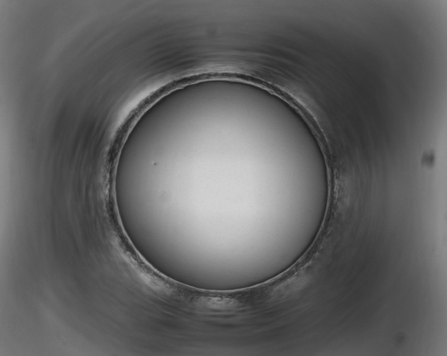 X0000116881119200912291236