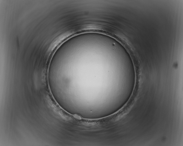 X0000116881121200912291236