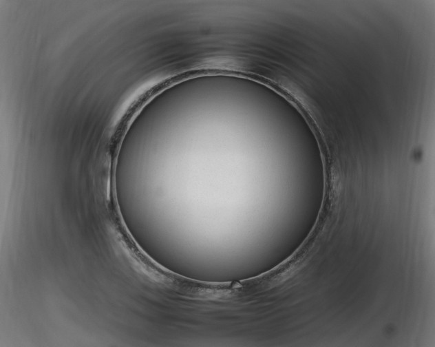 X0000116881123200912291236