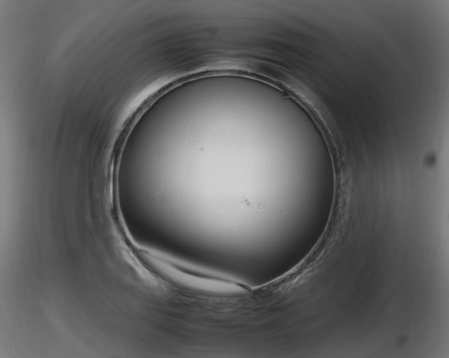 X0000116881127200912291236