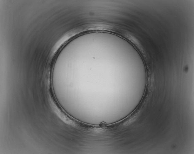 X0000116881130200912291236