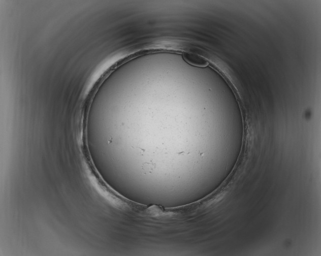 X0000116881131200912291236