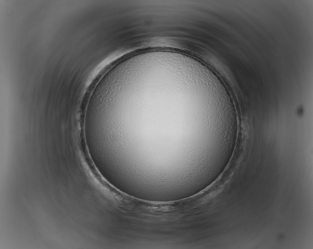 X0000116881133200912291237
