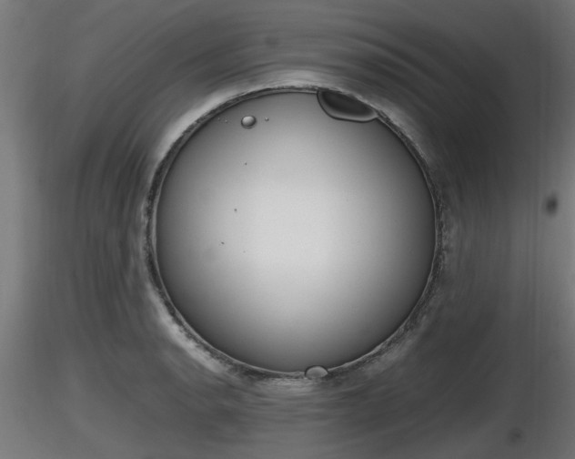 X0000116881134200912291237