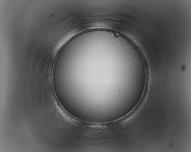 X0000116881137200912291237
