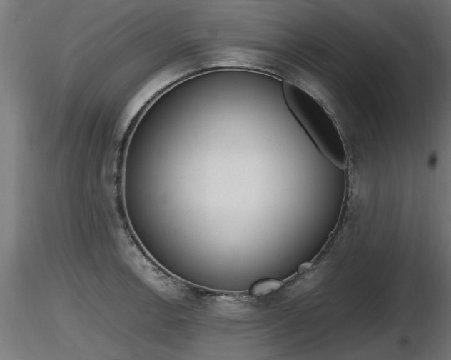 X0000116881138200912291237