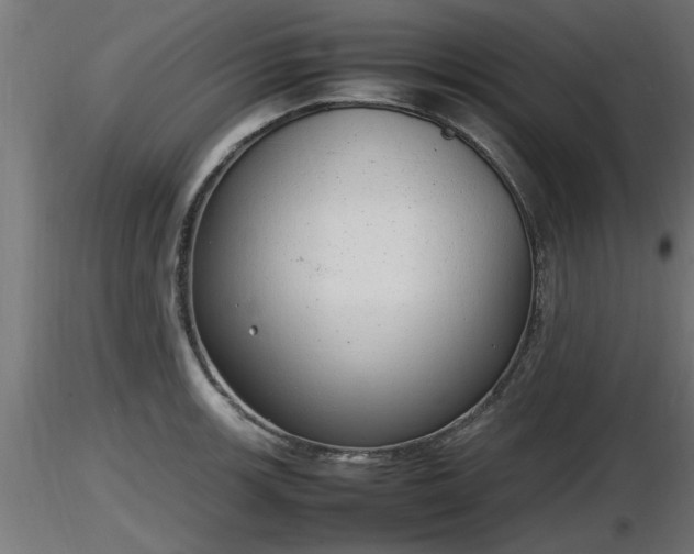 X0000116881139200912291237