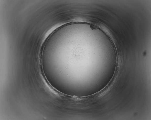 X0000116881141200912291237