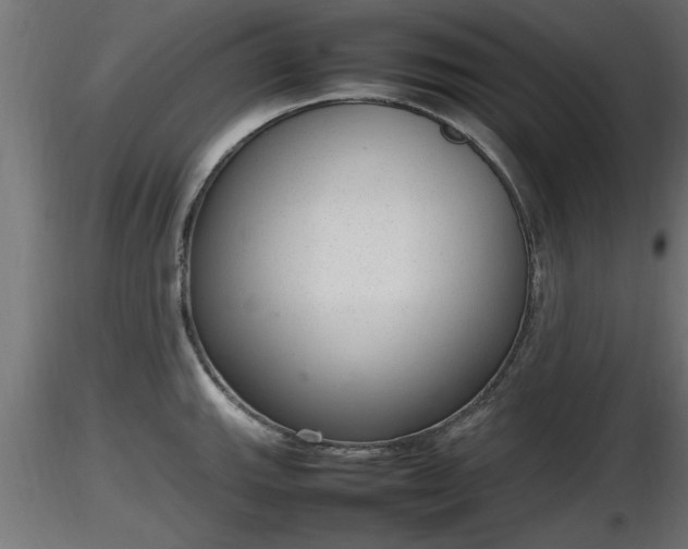 X0000116881143200912291237
