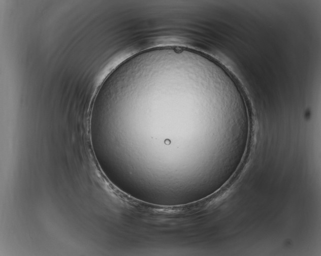 X0000116881145200912291237