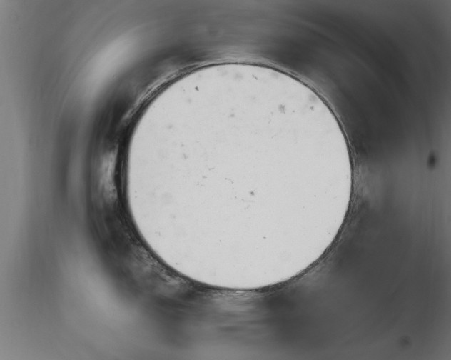 X0000116881150200912291237