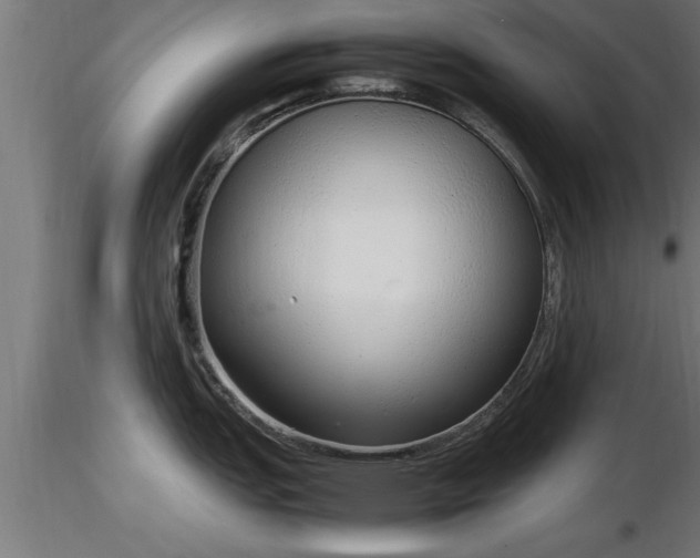 X0000116881151200912291237