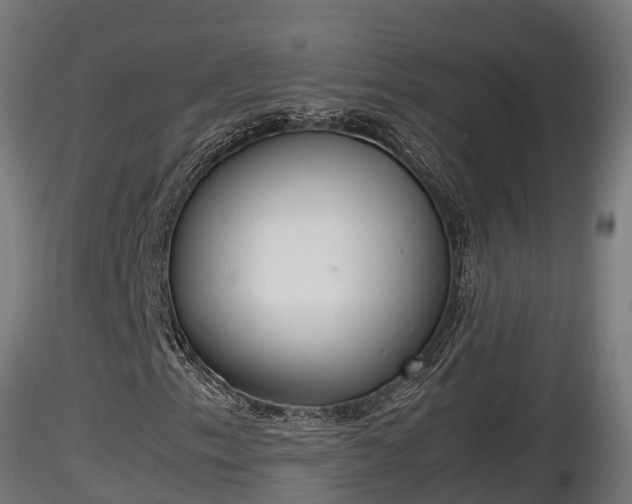 X0000116881153200912291236