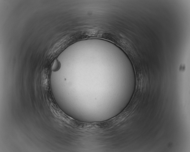 X0000116881154200912291236