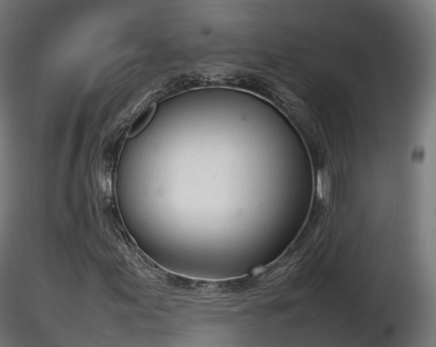 X0000116881155200912291236