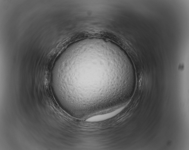 X0000116881156200912291236