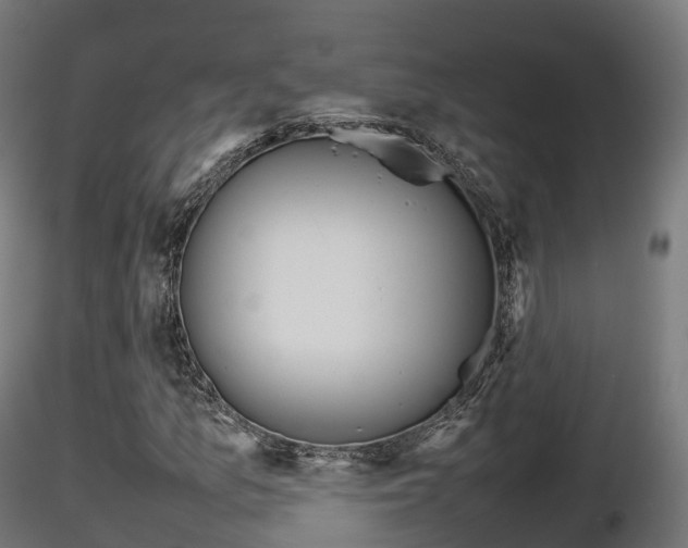 X0000116881157200912291236