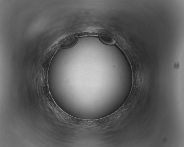 X0000116881158200912291236
