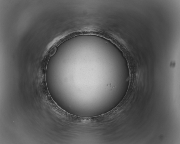 X0000116881160200912291236