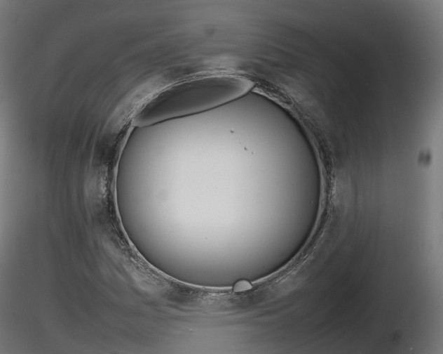 X0000116881161200912291236