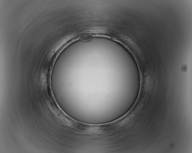 X0000116881162200912291236