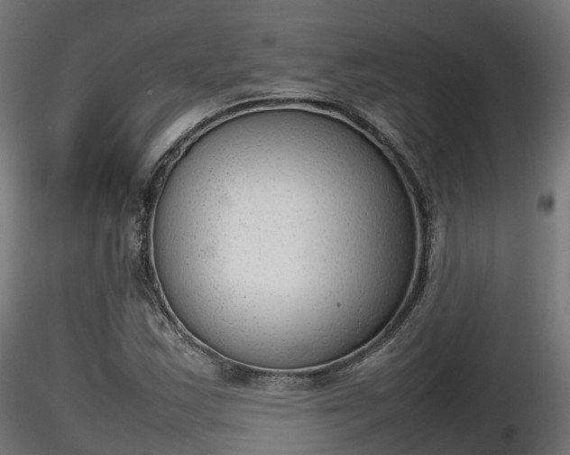 X0000116881163200912291236