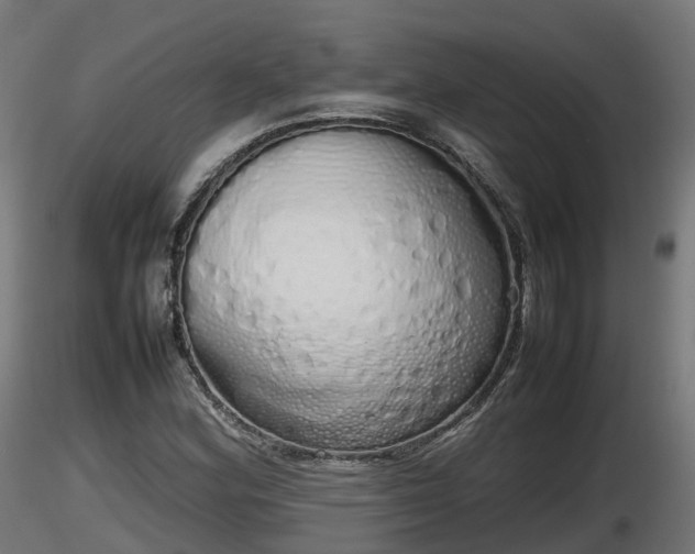 X0000116881164200912291236