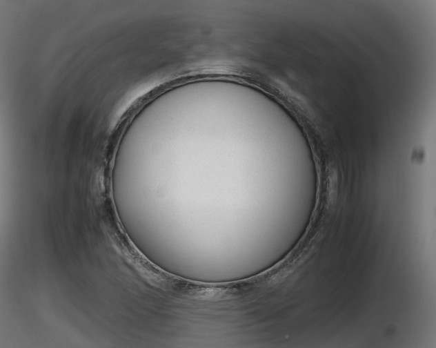 X0000116881166200912291236