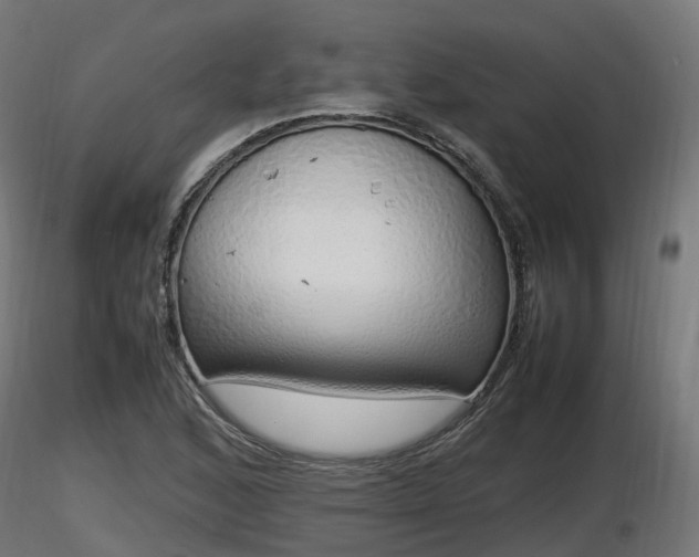 X0000116881168200912291236