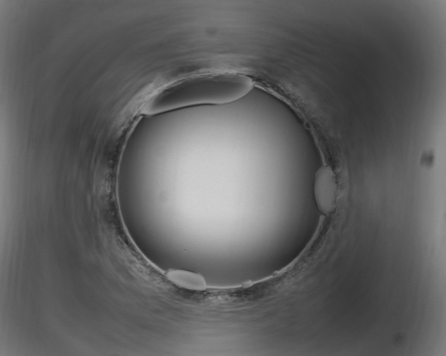 X0000116881169200912291236
