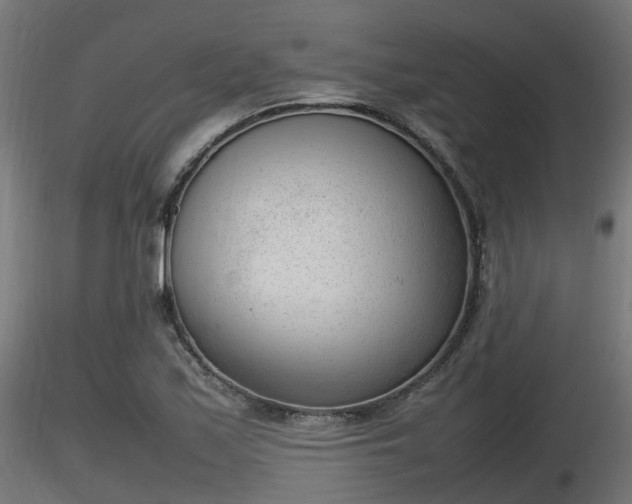 X0000116881171200912291236