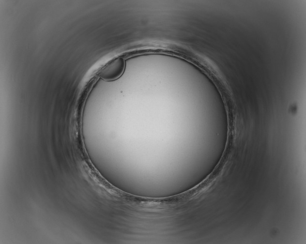 X0000116881172200912291236