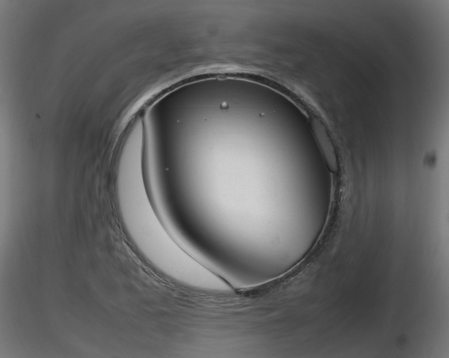 X0000116881173200912291236
