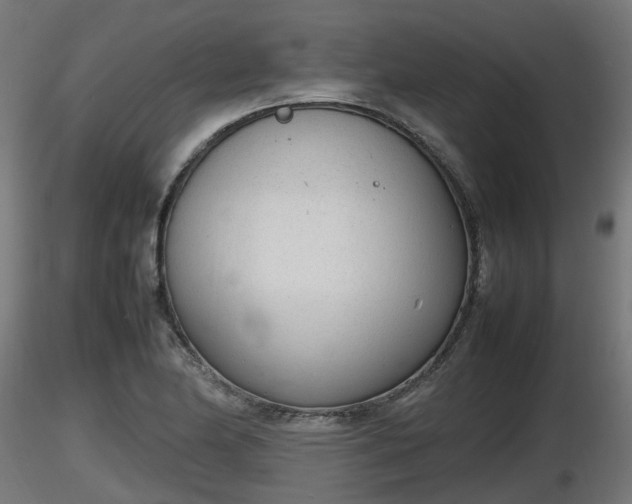 X0000116881174200912291236