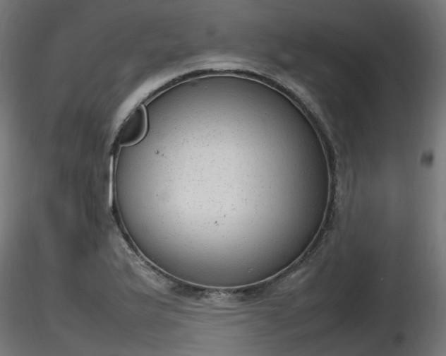 X0000116881175200912291236